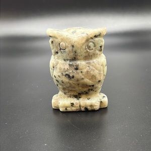 Kiwi Jasper Owl Carving